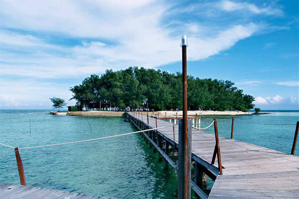 pulau biawak, pulau, indramayu, wisata, travel, traveling, wisata alam, wisata unik, wisata murah
