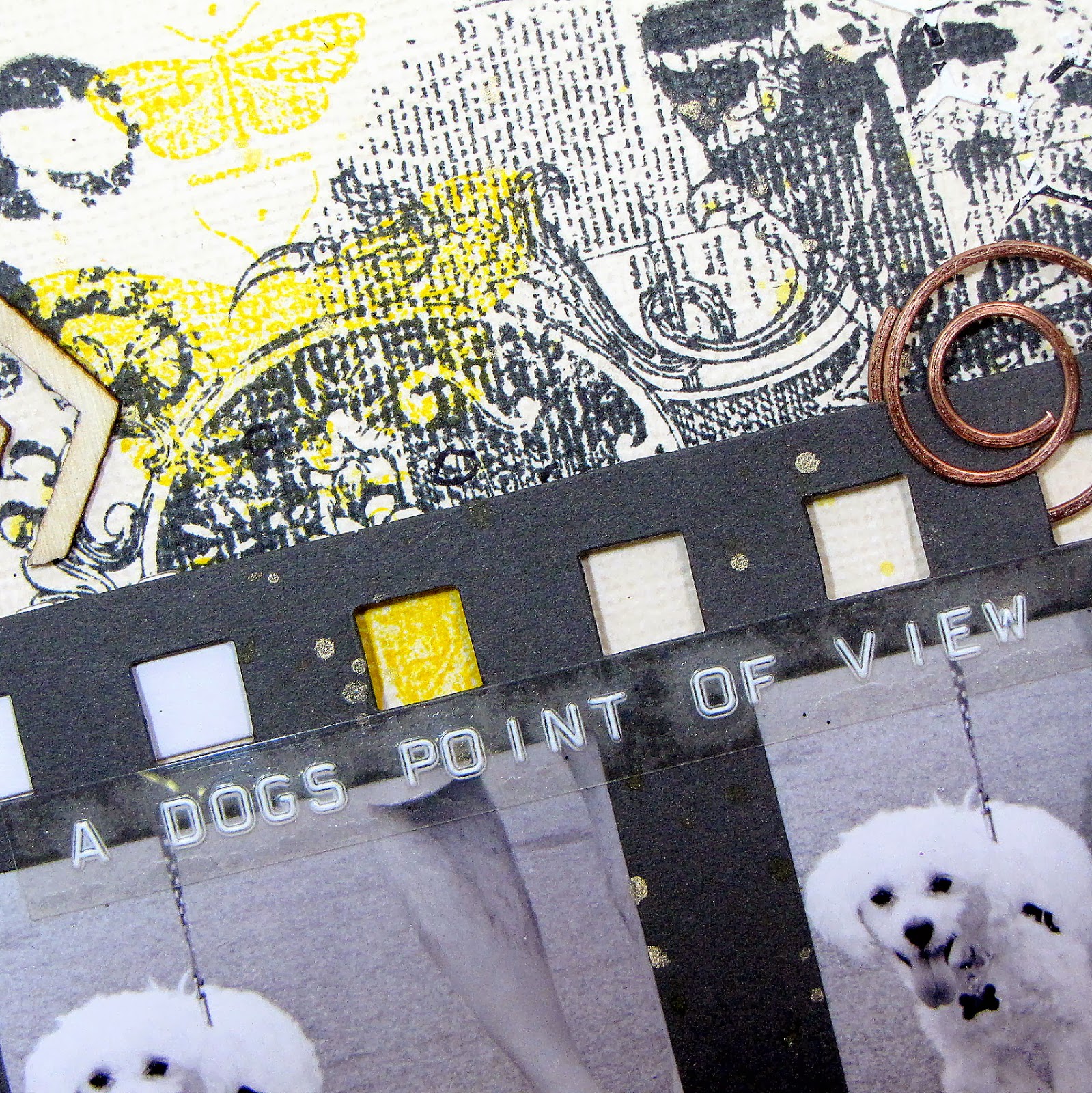 A Dog's Point of View Layout Embrace Serendipity