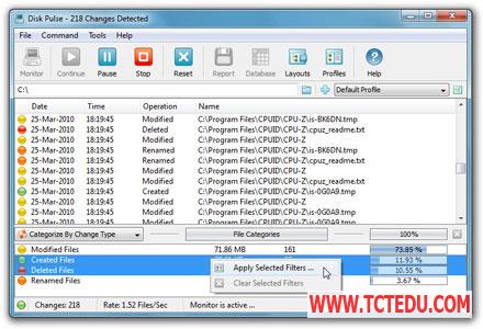 Phần mềm Disk Pulse Pro