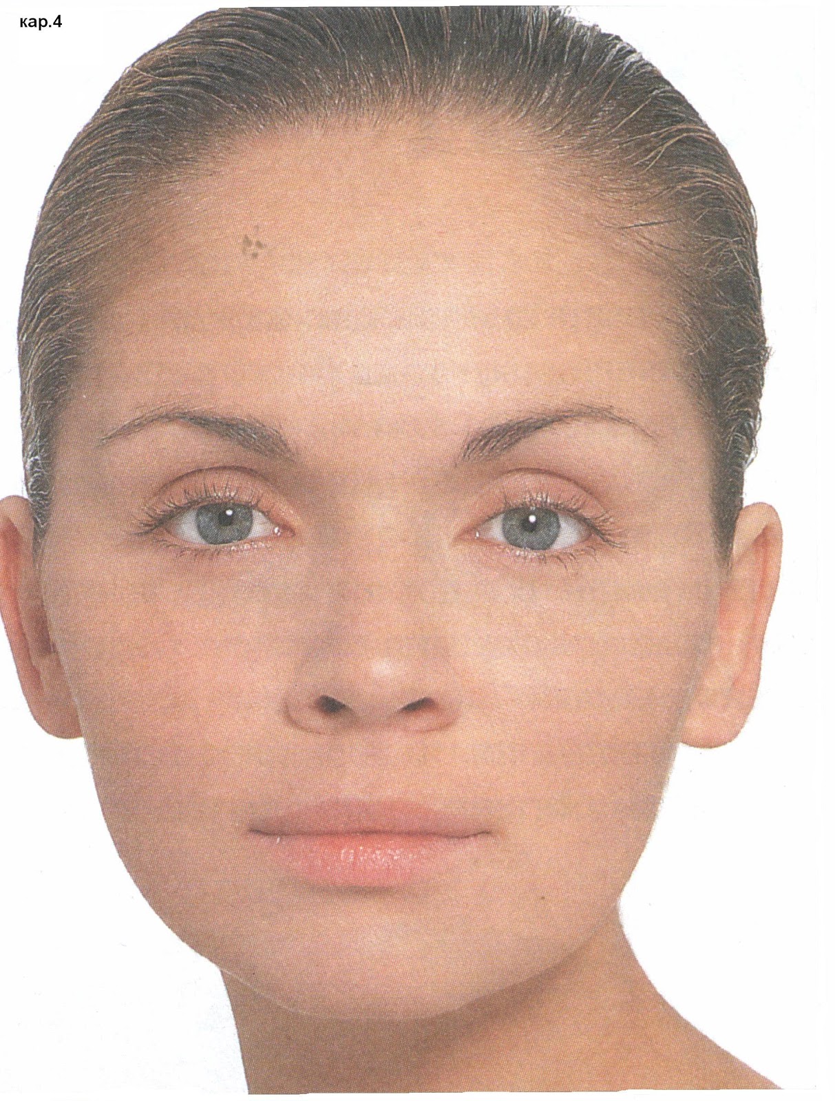 Зоны лица названия. Скула у человека. Портретная зона лица. Название элементов лица. Как называется лицо к лицу.