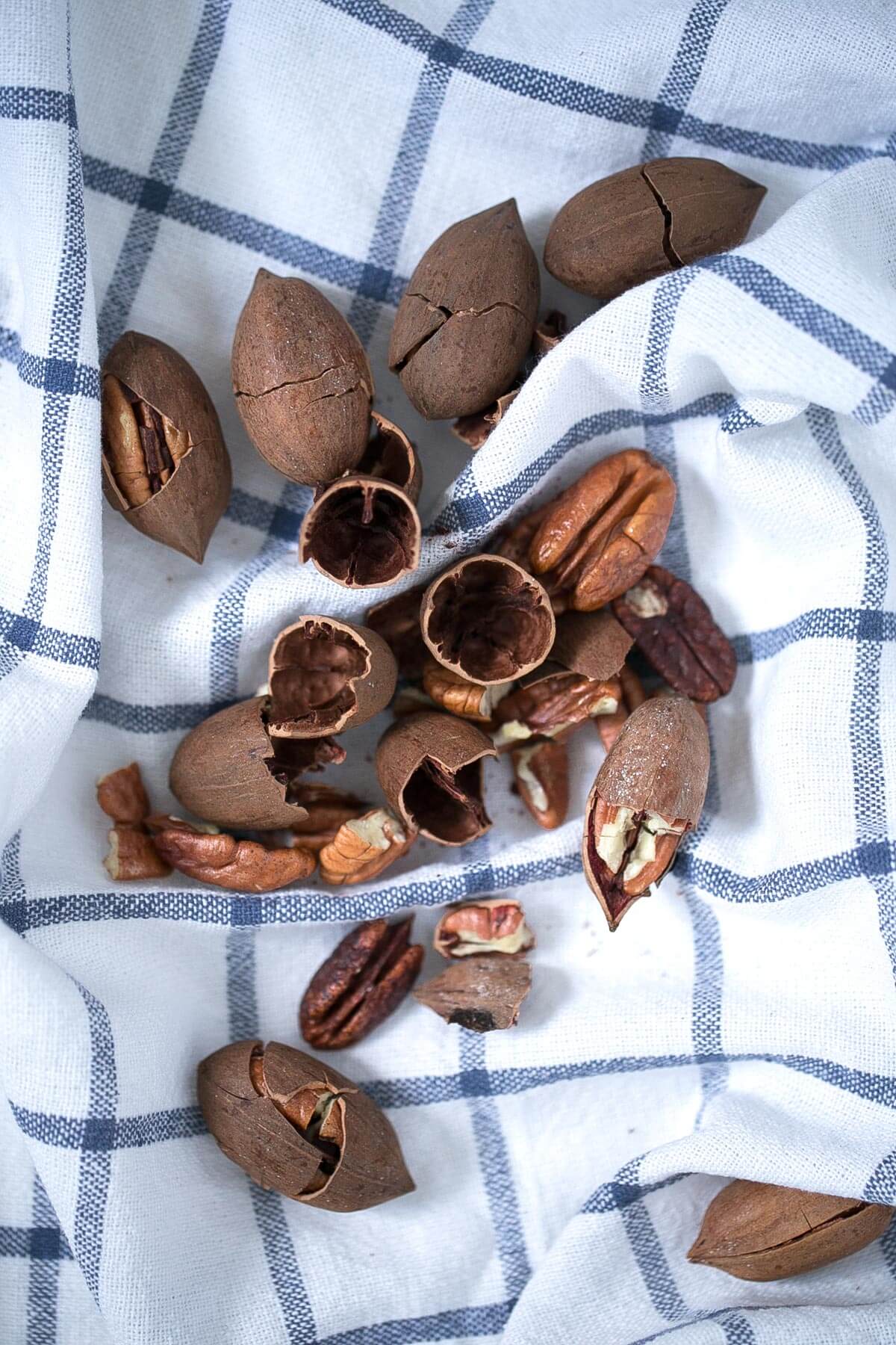 Pecans. Pecans.