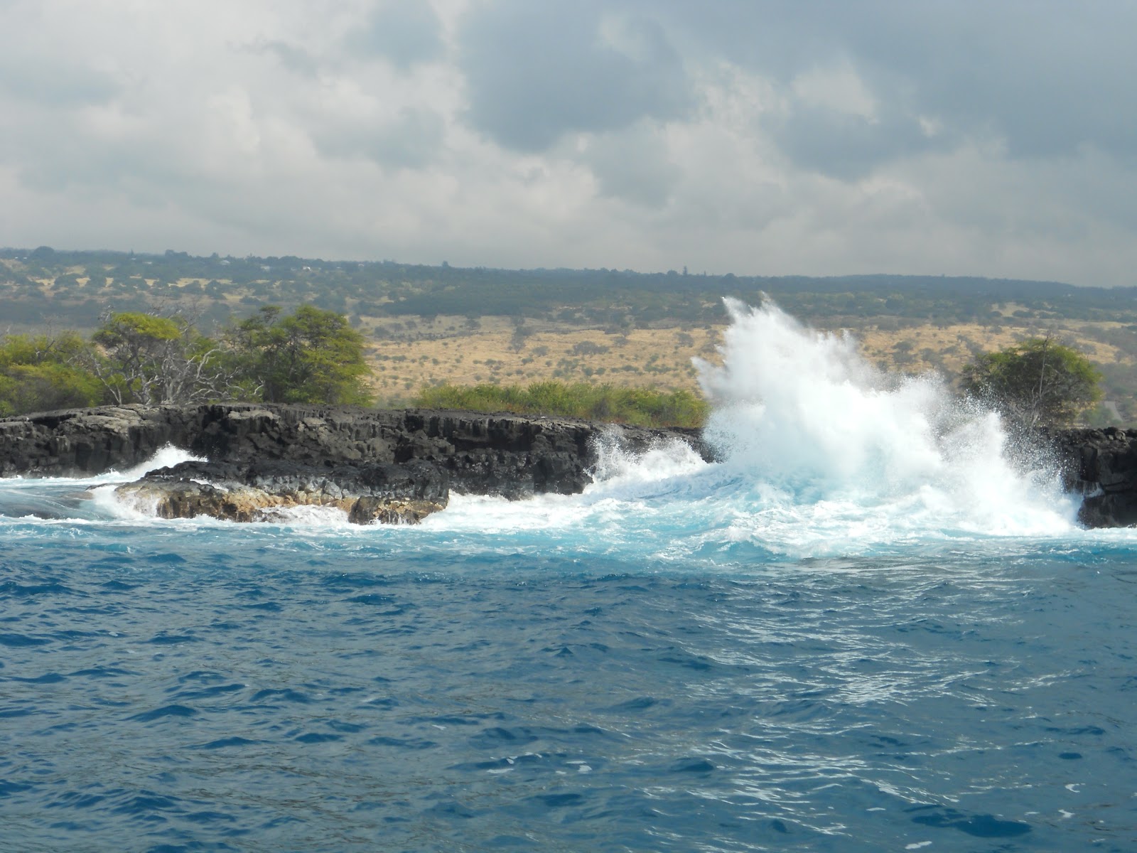 Diving into the Wreck Honeymoon in Hawai'i Day 7 Kona (The Big Island)