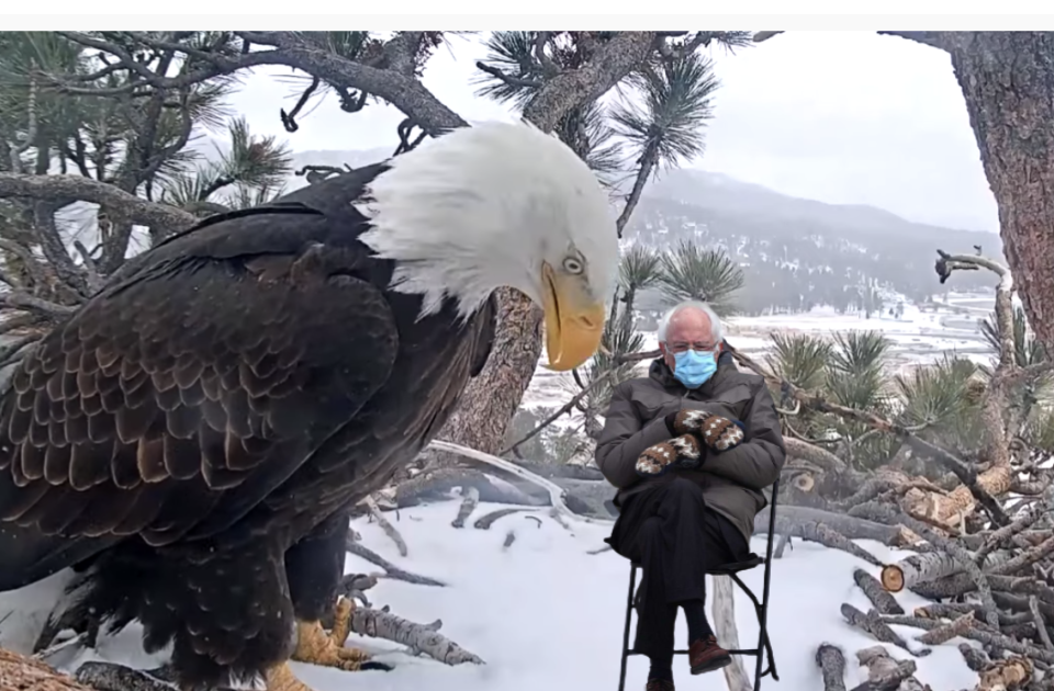 The Write Word 61: BS on the Nest