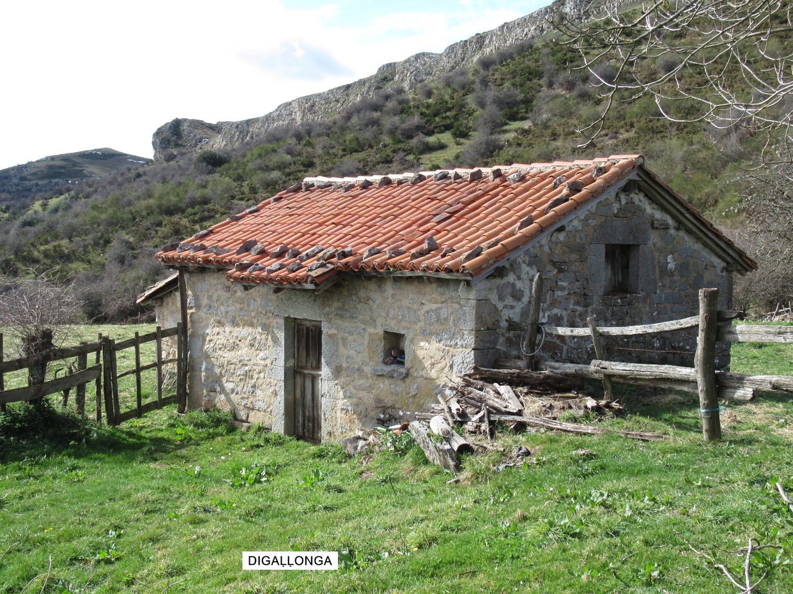 Pindio, pindio TaxaVeiga CueiroVeiga PraoVicenturo