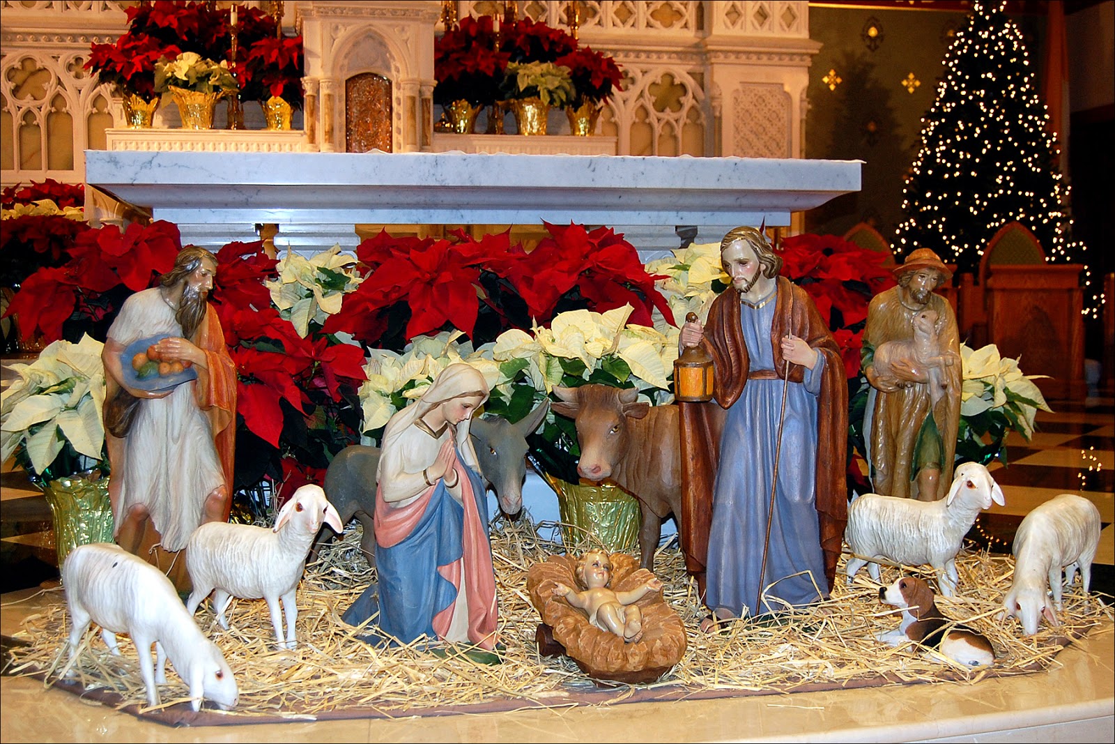 Il Regno: Celebrating the Feast of the Most Holy Name of Jesus in