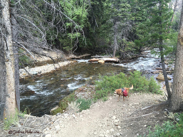 Backpacking to the Dinwoody Lakes, Wind Rivers, Backpacking the Glacier Trail Wind Rivers