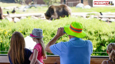 منتزه يلوستون الوطني Yellowstone National Park - متنزه خيالي غرب أمريكا