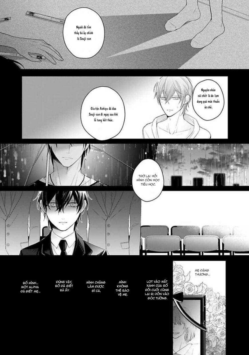 Đọc truyện Omega Không Đứng Đắn Không Thể Rơi Vào Lưới Tình - Chapter 5