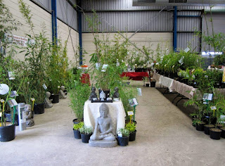 Bamboo nursery attending gippsland garden expo