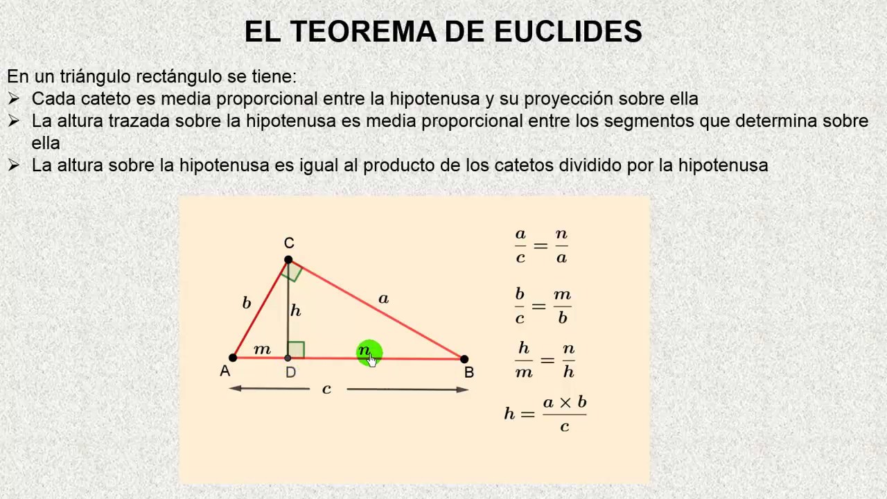 Matematica Primer Nivel Medio Educ Adultos Teorema de Euclides Matematica Primer Nivel Medio Educ Adultos Teorema de Euclides