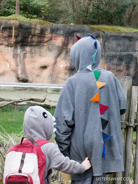 easy diy dino hoodie