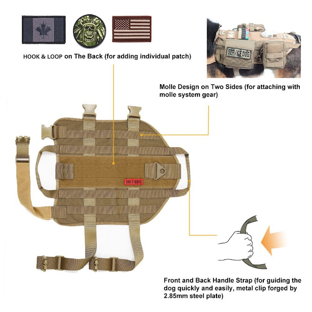 5 Best Dog Backpacks Reviewed Pros and Cons for Your Dog's Build