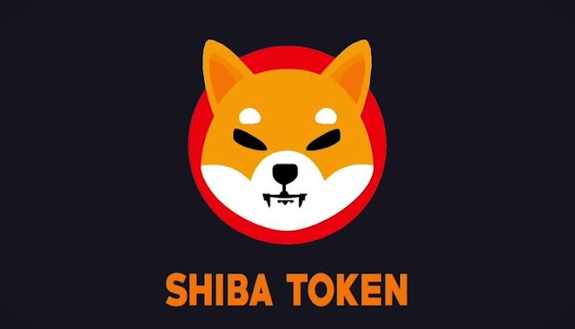 All You Need to Know Shib Coin Crypto Future