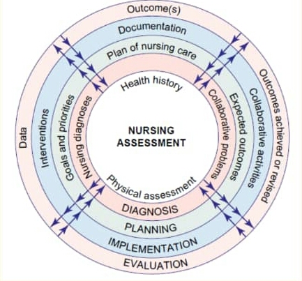 Ineffective Airway Clearance Nursing Care Plan, Nursing Assessment, and Nursing Intervention.