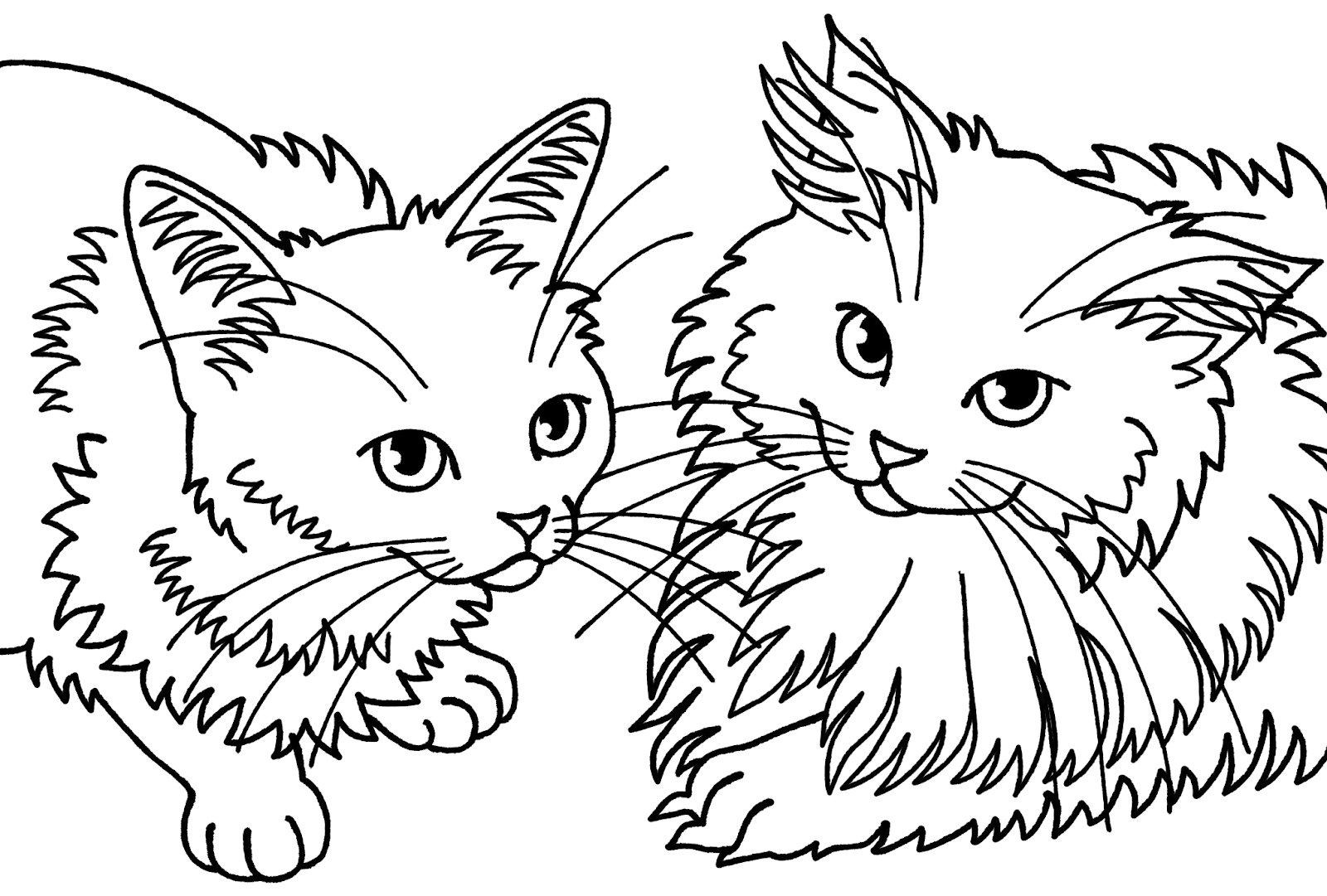 ロージーの猫ぬりえ: 猫ぬりえブログを始めます