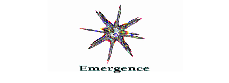 Emergence