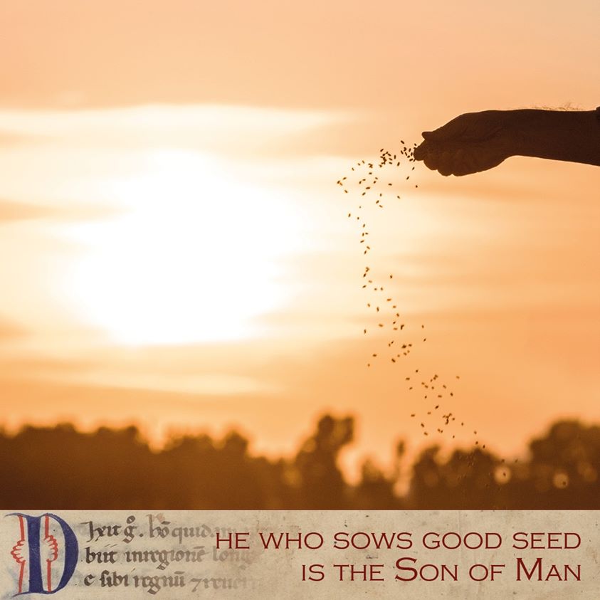 St Augustine Of Canterbury Gospel Of The Day Matthew 13 36 43 st-augustine-of-canterbury-gospel-of-the-day-matthew-13-36-43