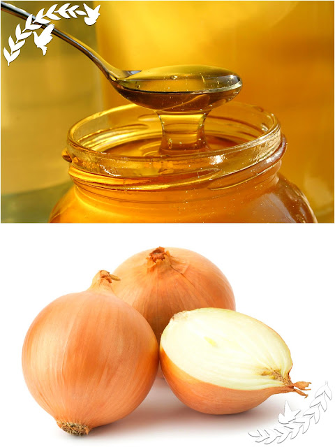 DIY Cough Syrup With Onion And Honey DAILY HEALTH TIPS ID