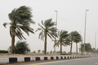 تفسير مشاهدة الرياح القوية في الحلم