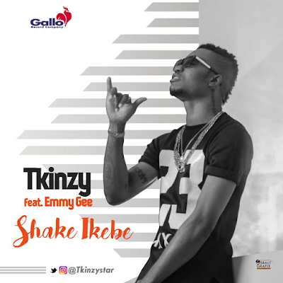 l Fast Rising Artiste Tkinzy drops the video of his single 'Shake Ikebe'