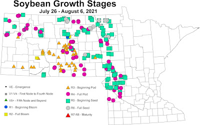 Map of growth stages of soybeans in fields scouted