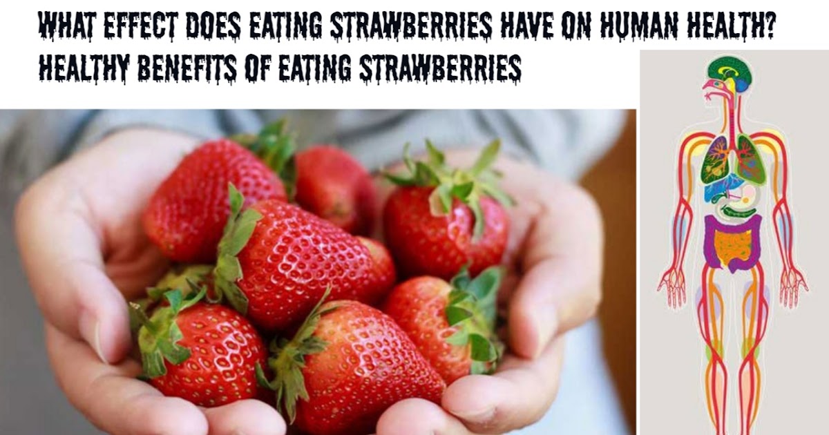 Topreviewed What effect does eating strawberries have on human health