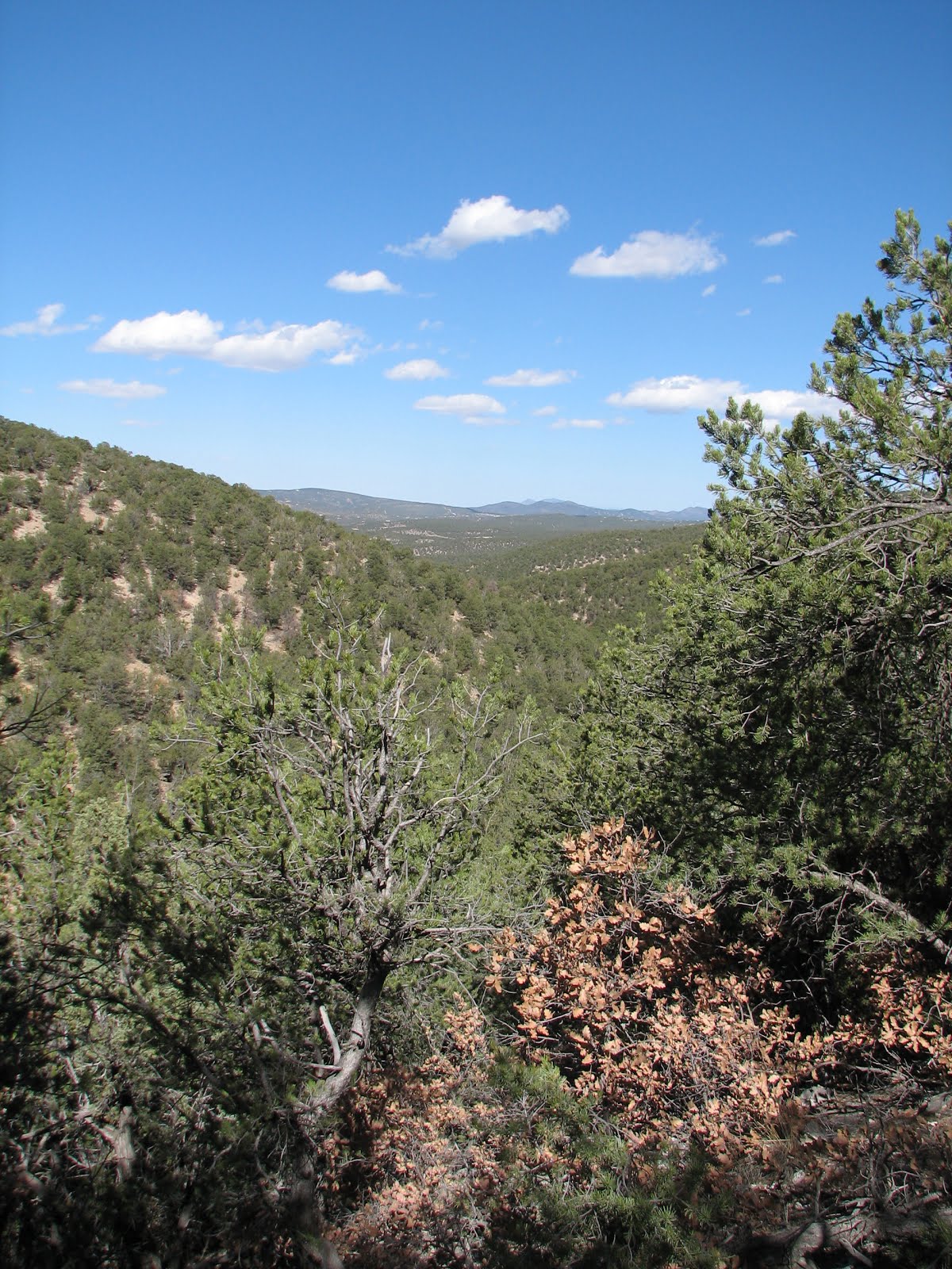 Diane and Stephen's Excellent Albuquerque Adventure Tunnel Canyon, Tijeras