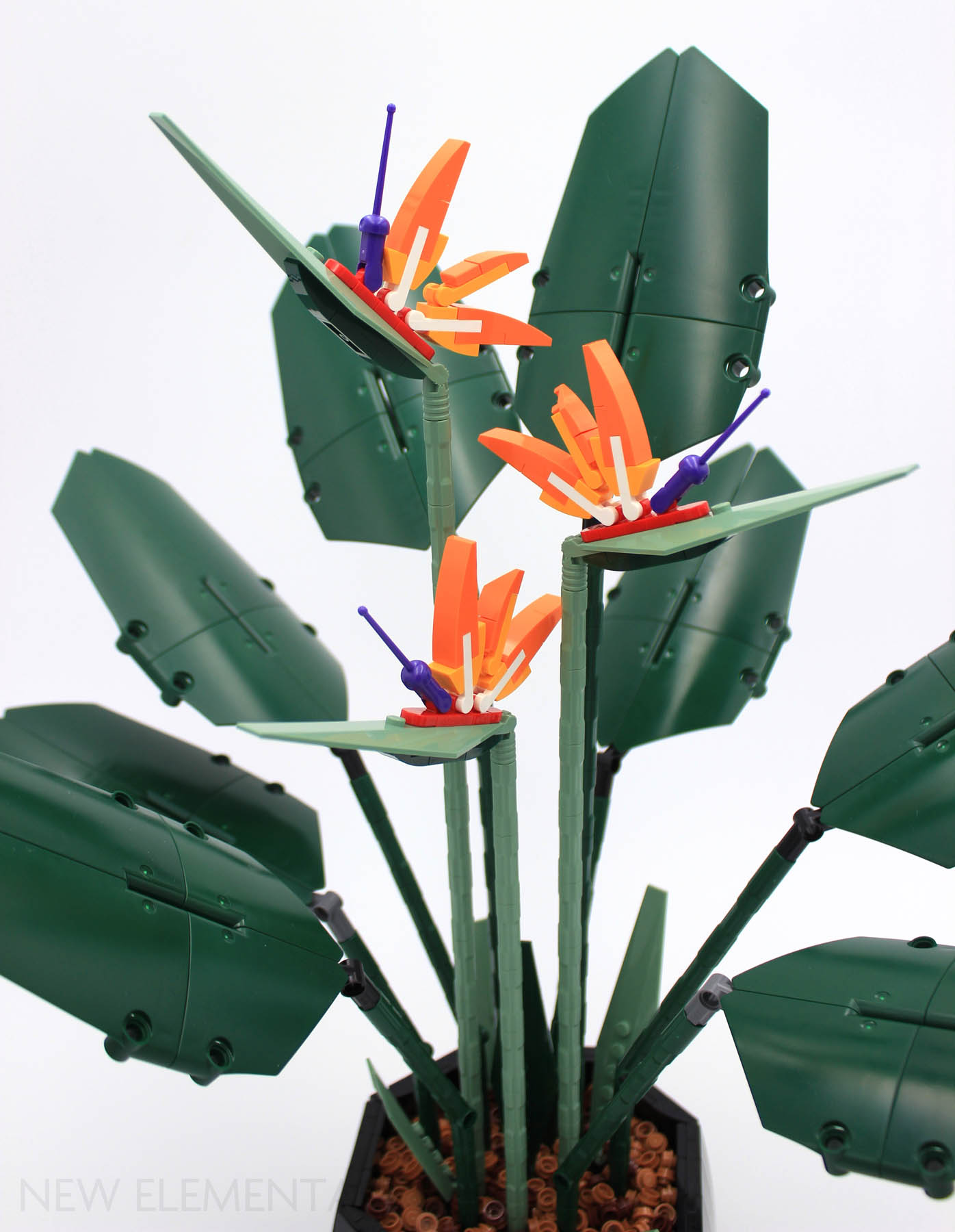 LEGO® Botanical Collection review: 10289 Birds of Paradise
