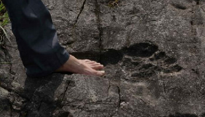 Turistas encuentran huellas fosilizadas de gigantes en un pueblo en China Huella1