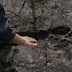 Turistas encuentran huellas fosilizadas de gigantes en un pueblo en China