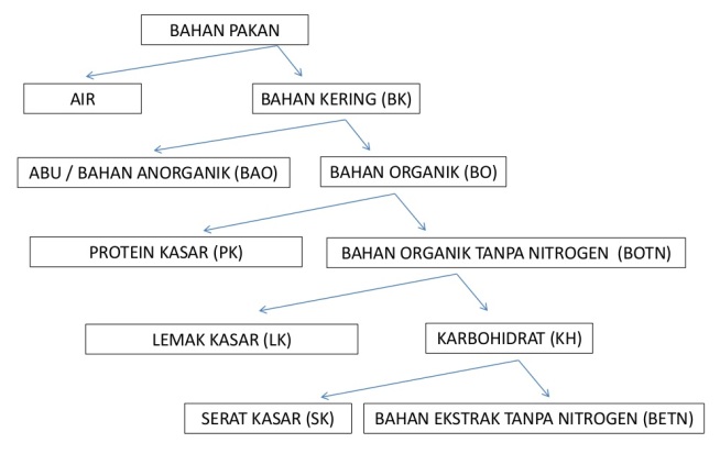 Mengenal Analisis Proksimat Bahan Pakan