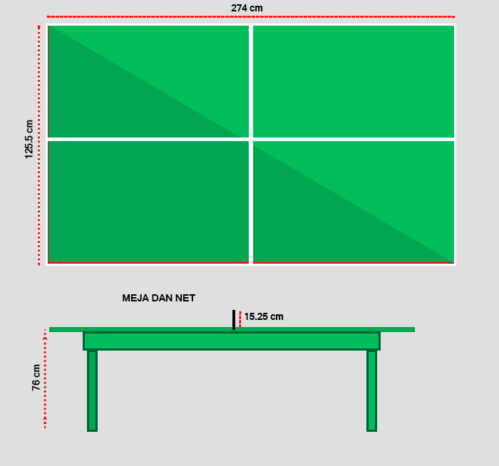 Gambar Lapangan Tenis Meja beserta Ukurannya - Olahraga 
