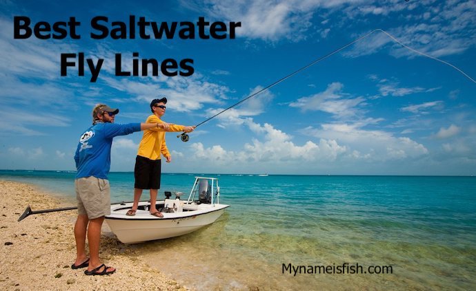 Best Saltwater Fly Lines