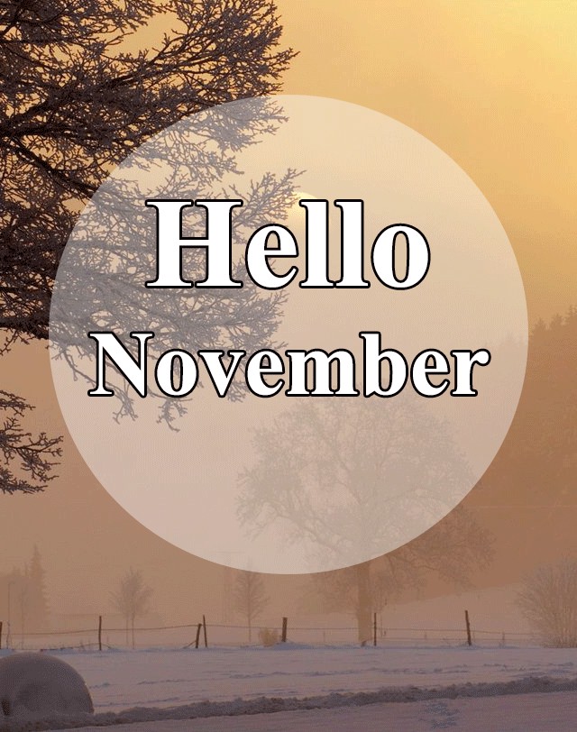 Trọn Bộ Hình Ảnh Chào Tháng 11 Đẹp Nhất, Hello November 2020