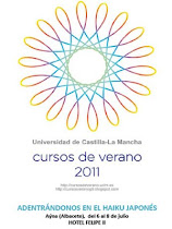 Universidad de Castilla La Mancha - Cursos de verano 2011