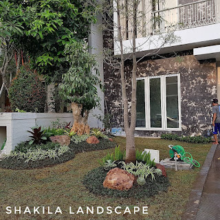 Shakila Landscape