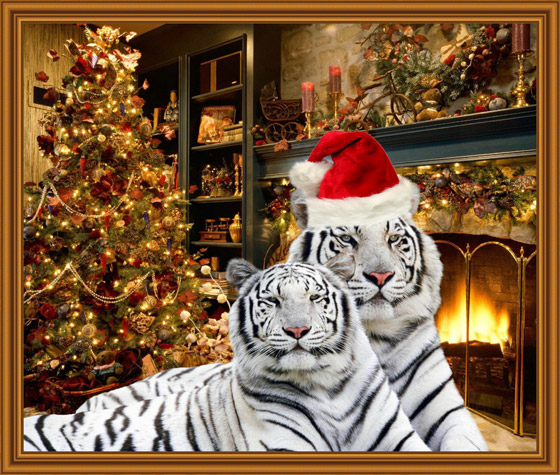 可爱的祝贺老虎的新年
