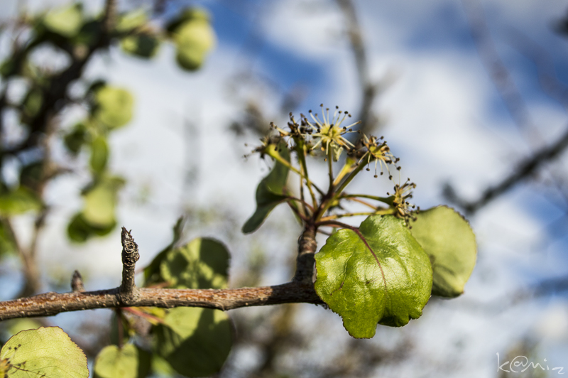 Por cada mirada: enero 2013