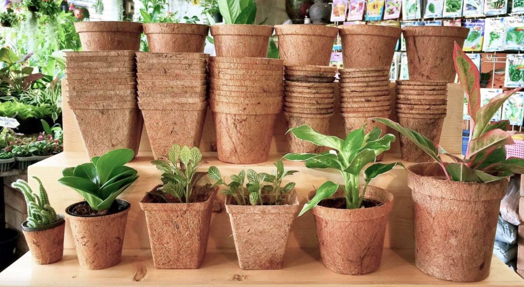 COCONUT FIBER POTS