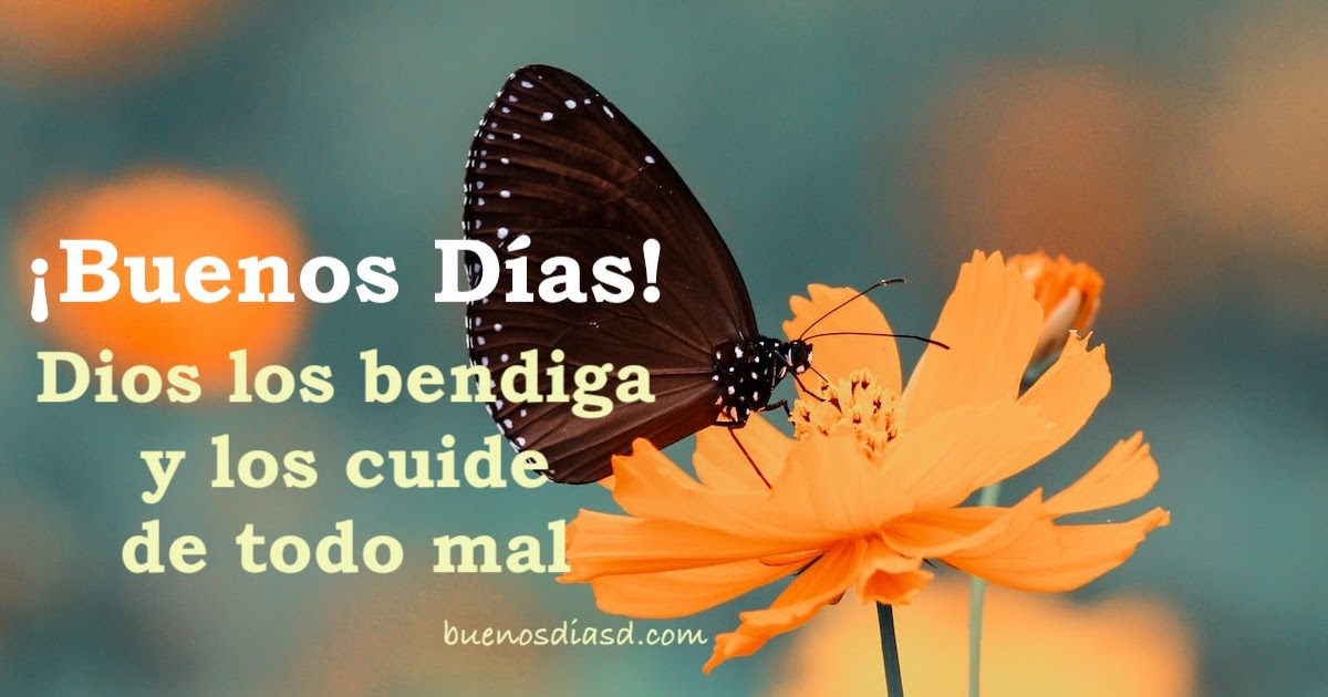 FRASES CRISTIANAS de BUENOS DÍAS, DIOS te BENDIGA. | Imágenes y Frases