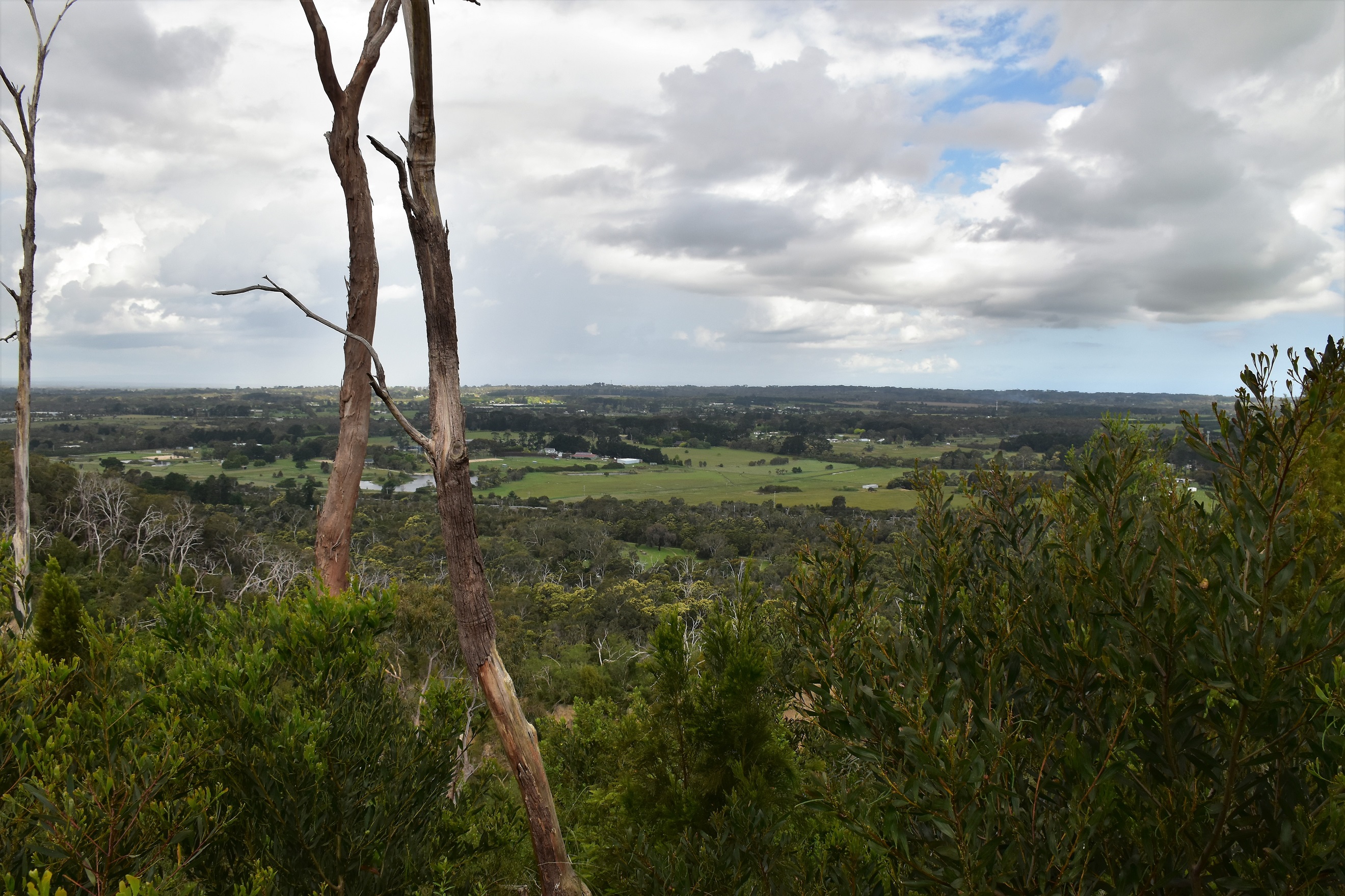 Goin' Feral One Day At A Time Moorooduc Quarry Walk, Moorooduc Quarry