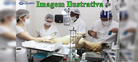 Sala de castração do ADOTA Patos, falta pouco