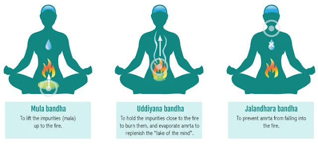 Mula Bandha-mergezone How to use Mula Bandha in Yoga - Mergezone