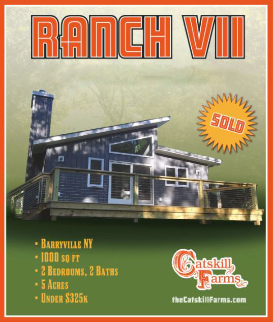 Catskills Sullivan County Ulster County Real Estate Catskill