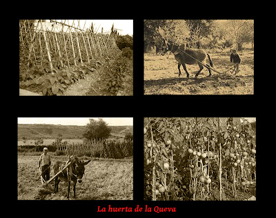 Loporzano 15 Lugares FUENTE DE LA QUEVAEN SASA DEL ABADIADO