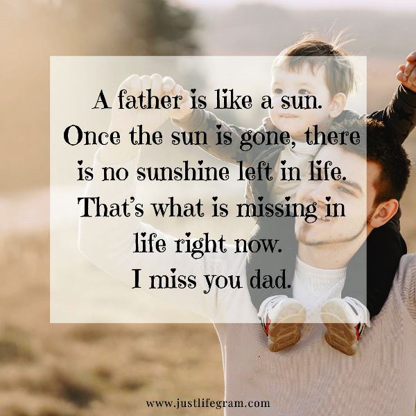 40+ Deepest Miss You Dad Quotes and Messages For Father