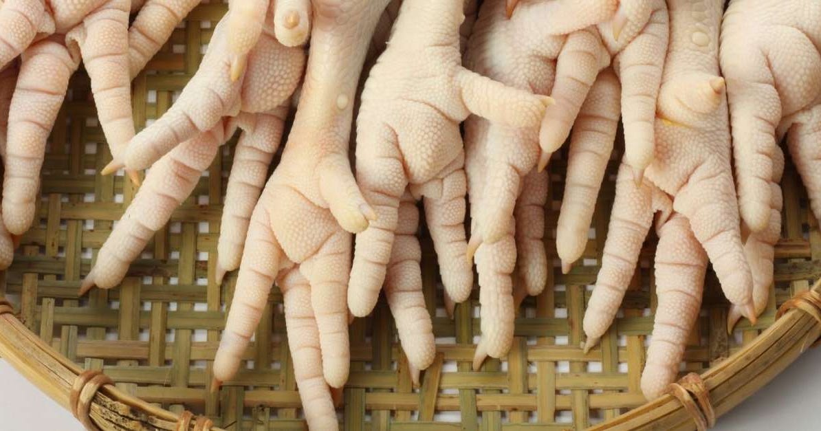 COMIDAS INTERESANTES Patas de gallina, China