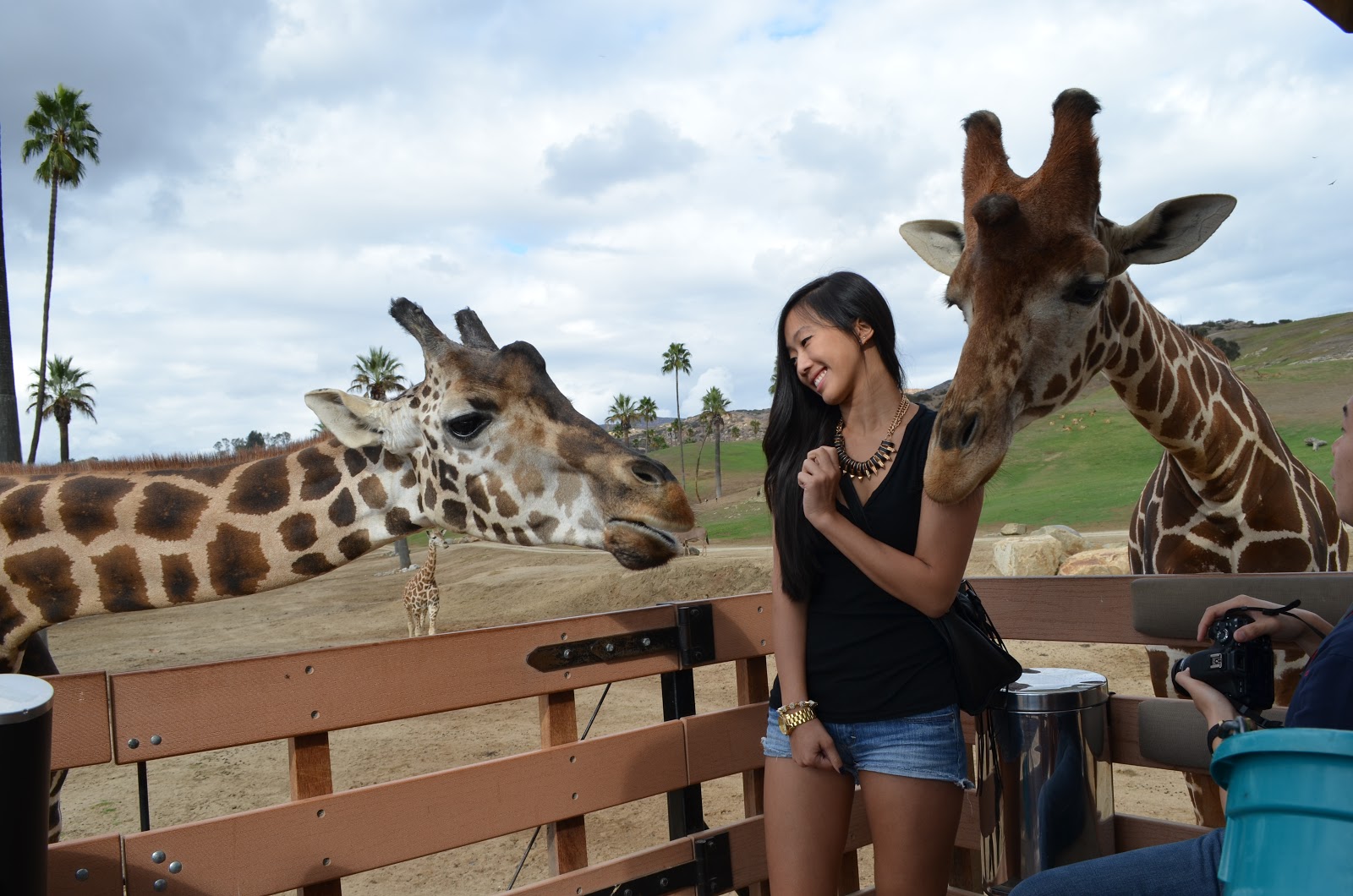 : San Diego Part 2: San Diego Safari Park