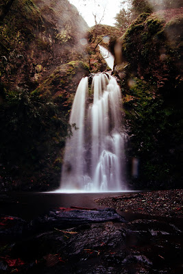 Nature Images Nature Images