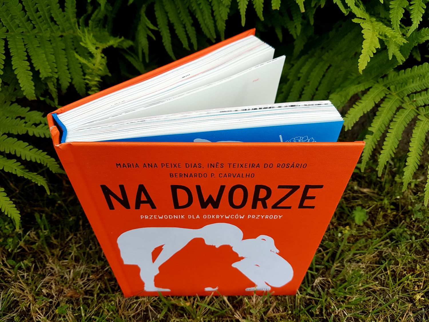 Scharakteryzuj Zachowanie świętego Podczas Drugiego Pobytu Na Dworze Ojca Nasze Bąbelkowo. Macierzyństwo. Miłość. Adopcja. : "Na dworze